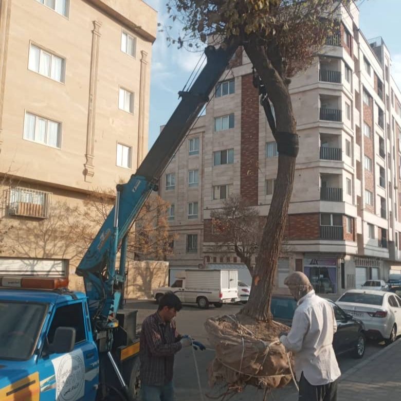 نیسان یدک کش دکل دار